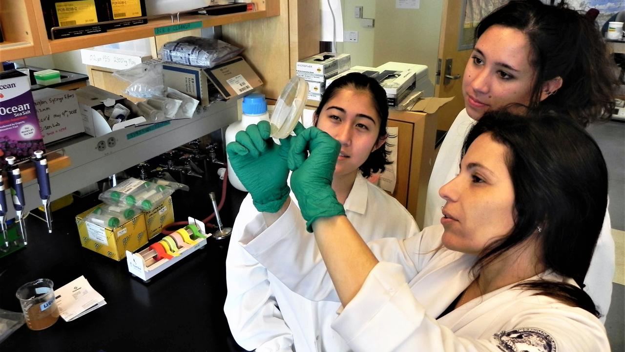 Dr. Raquel Peixoto with two undergraduate students.